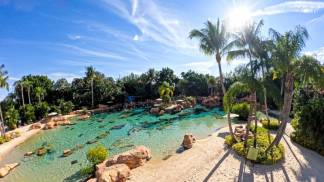 DiscoveryCove